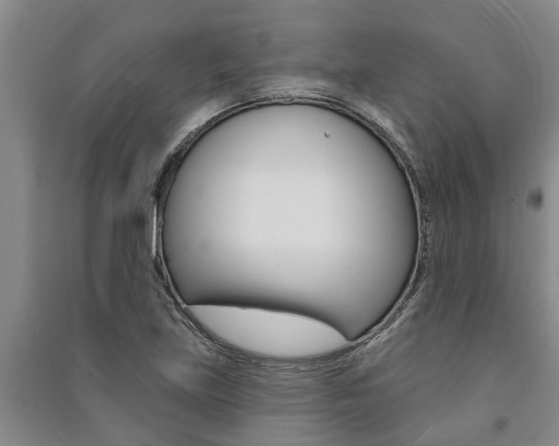 X0000091581219200708201006