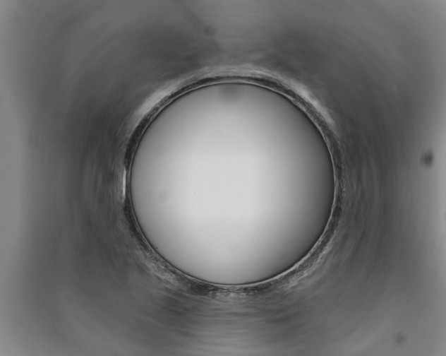 X0000091581221200708201006
