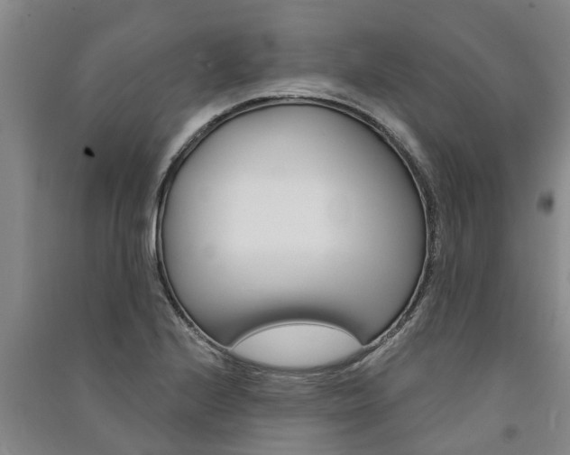 X0000091581224200708201006