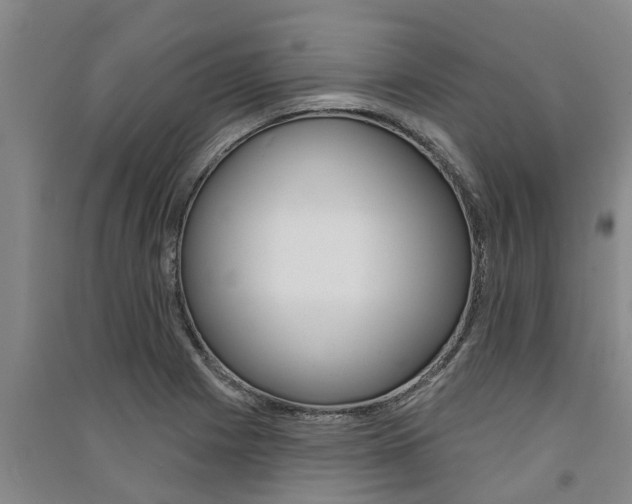 X0000091581225200708201006