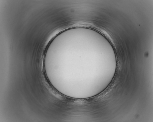 X0000091581227200708201006