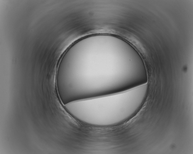 X0000091581228200708201006