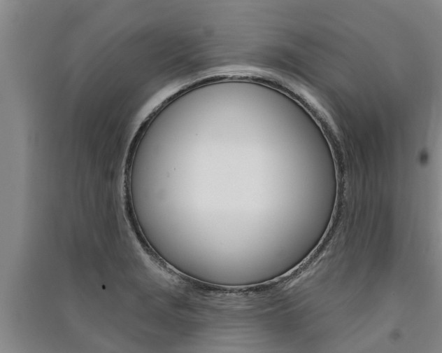 X0000091581229200708201006