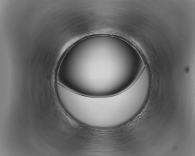 X0000091581230200708201006