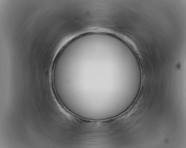 X0000091581231200708201006