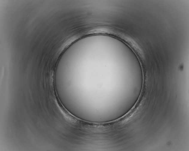 X0000091581233200708201006