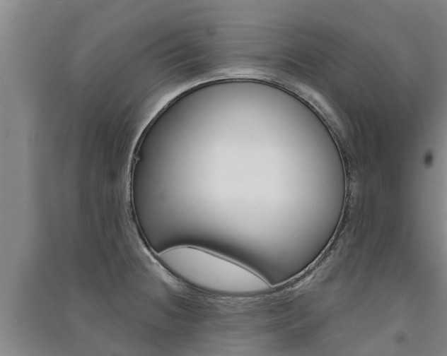 X0000091581236200708201006