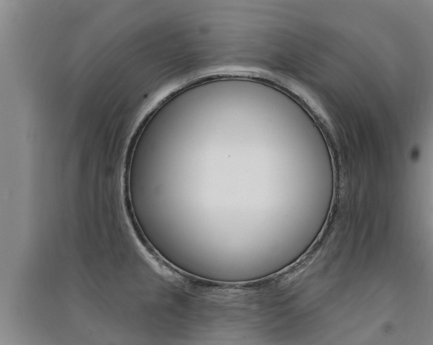 X0000091581237200708201006