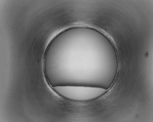 X0000091581239200708201006
