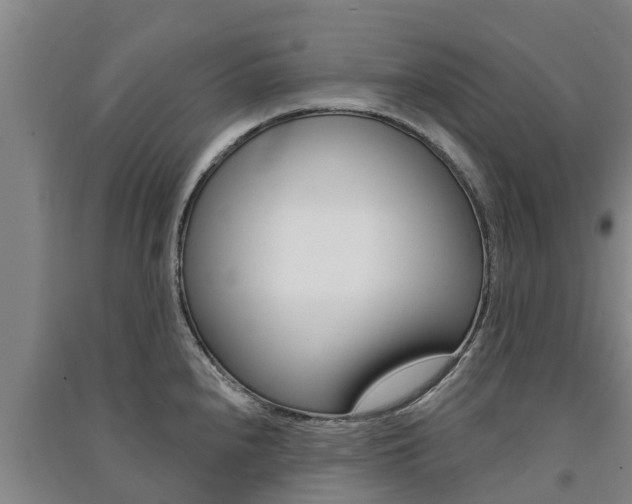 X0000091581240200708201006