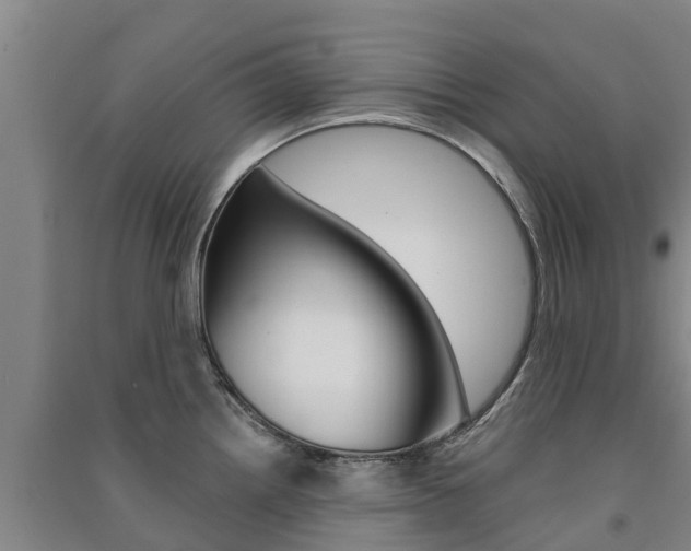 X0000091581242200708201006