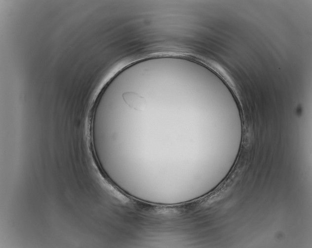 X0000091581243200708201006