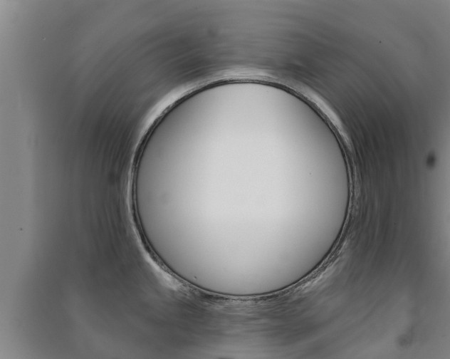 X0000091581245200708201006
