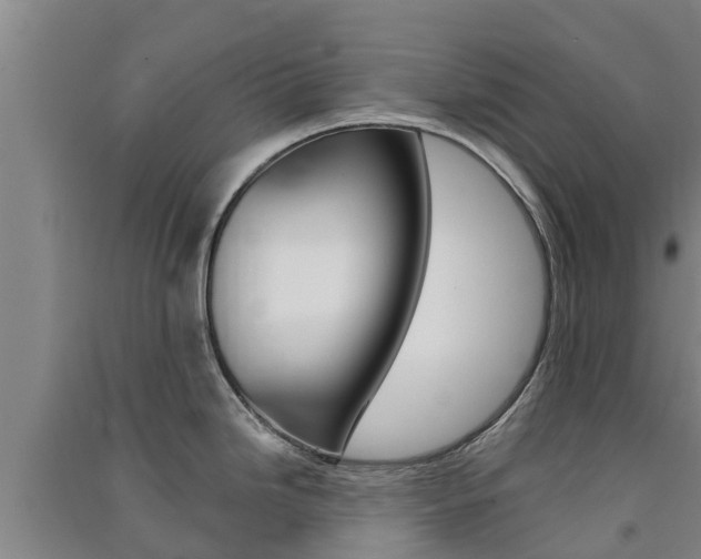 X0000091581246200708201006