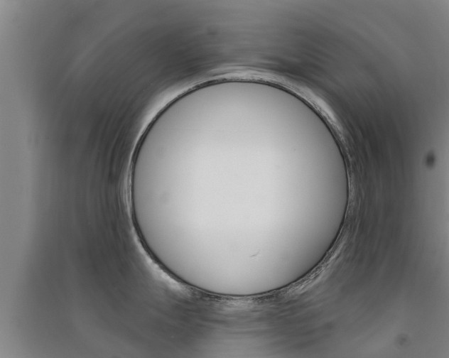 X0000091581247200708201006