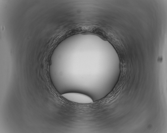 X0000091581249200708201005