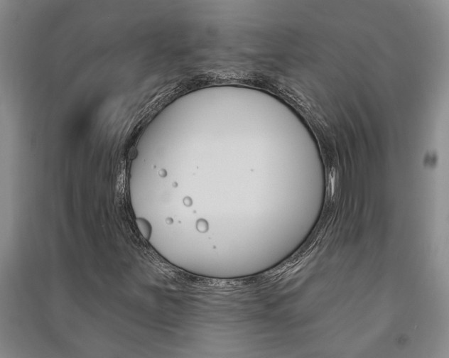 X0000091581251200708201005