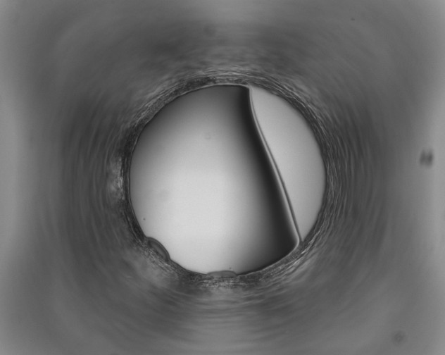X0000091581252200708201005