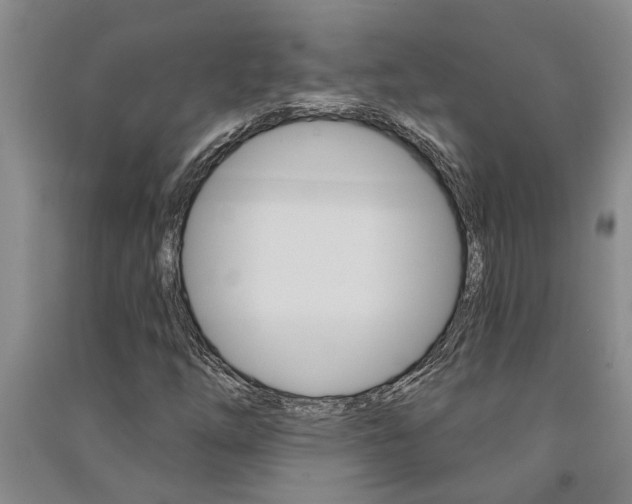 X0000091581254200708201005