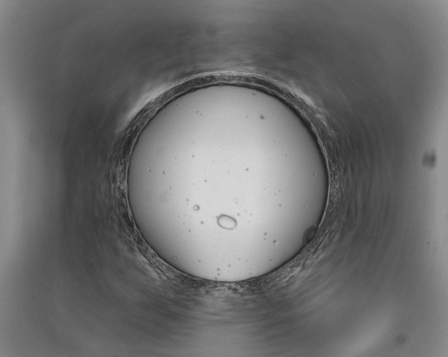 X0000091581255200708201005