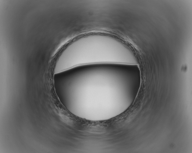 X0000091581256200708201005