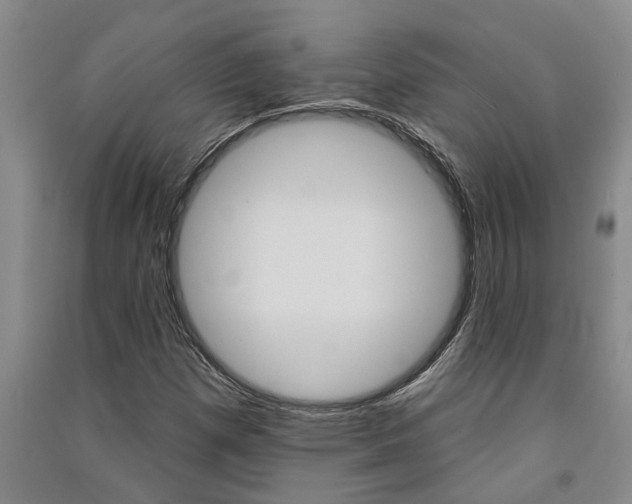 X0000091581257200708201005