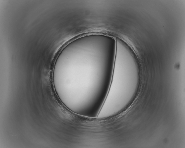 X0000091581260200708201005