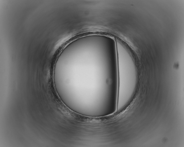 X0000091581261200708201005