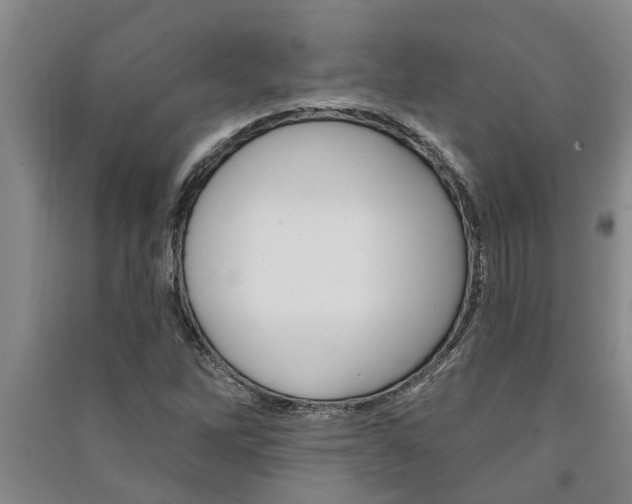 X0000091581262200708201005