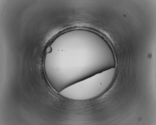 X0000091581263200708201005