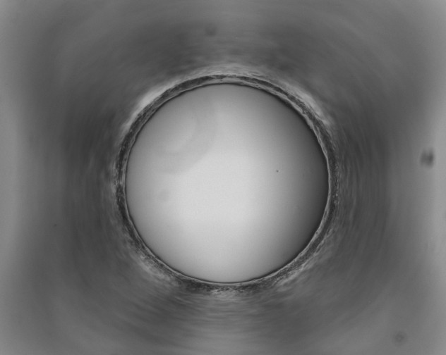 X0000091581264200708201005