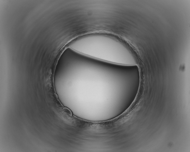X0000091581265200708201005