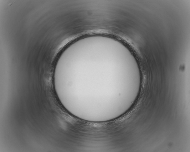 X0000091581266200708201005