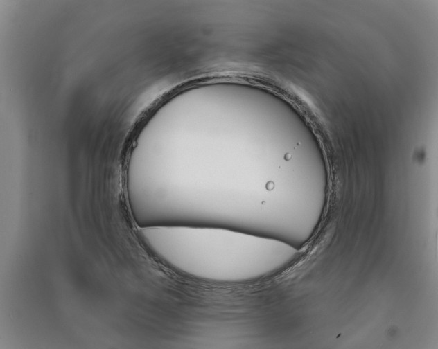 X0000091581267200708201005