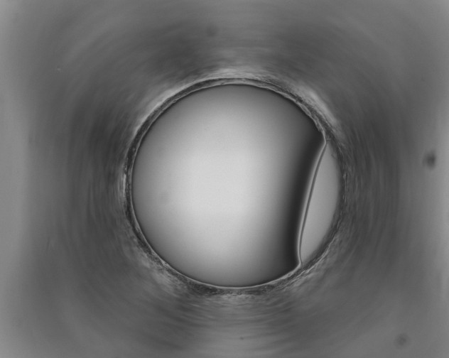 X0000091581268200708201005