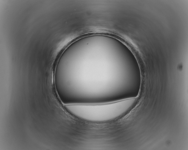 X0000091581269200708201005