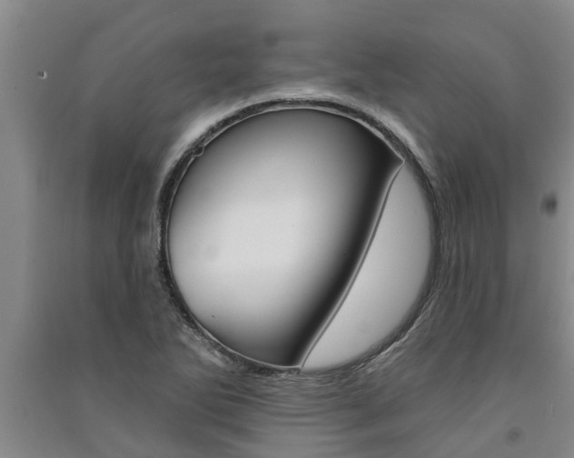 X0000091581270200708201005