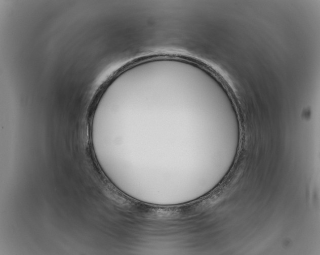 X0000091581271200708201005