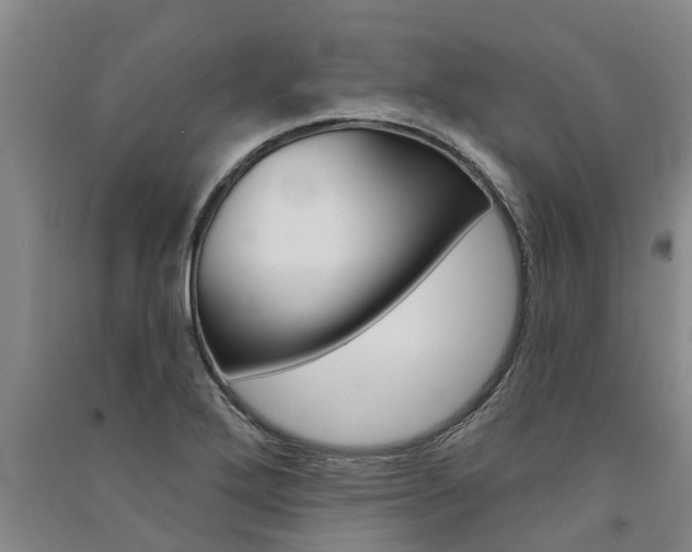X0000091581272200708201005