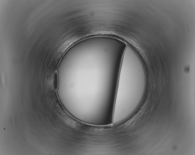 X0000091581273200708201005