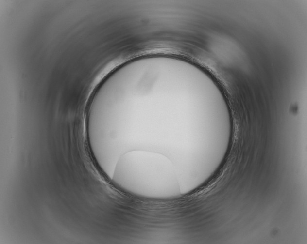 X0000091581274200708201005