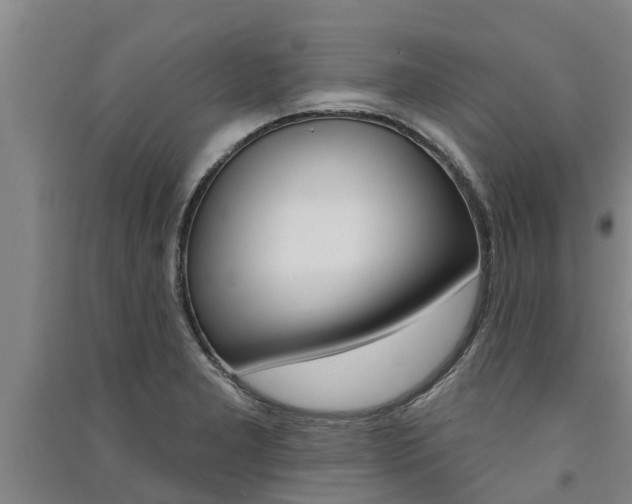 X0000091581277200708201005