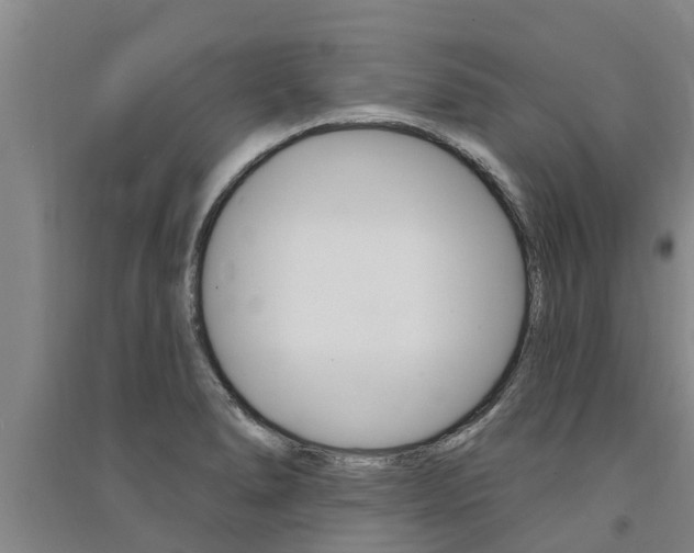 X0000091581278200708201005