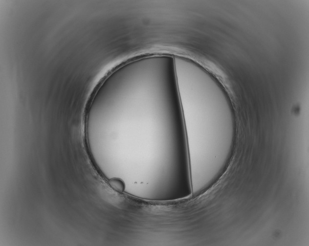X0000091581280200708201005