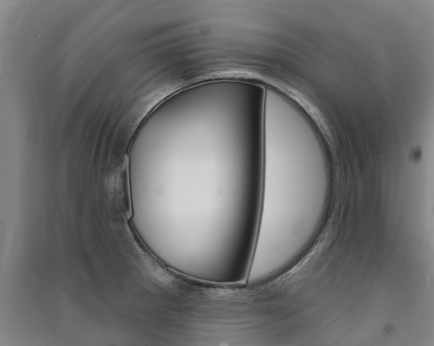 X0000091581281200708201005