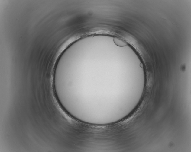 X0000091581282200708201005