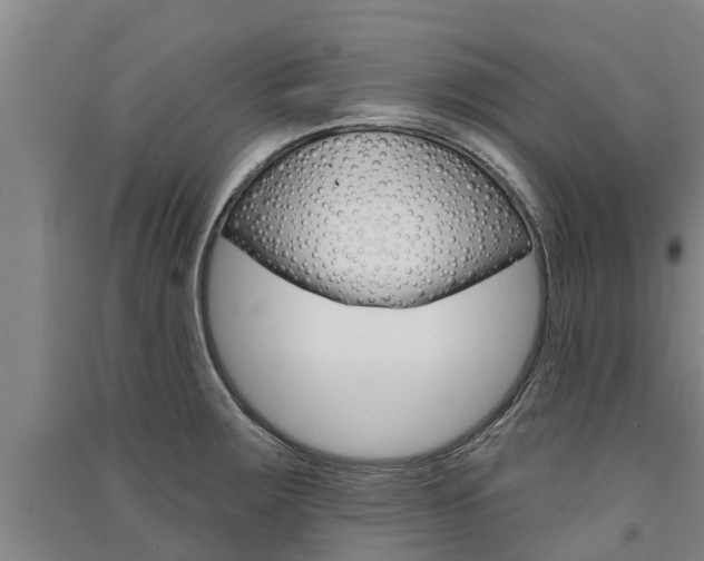 X0000091581283200708201005