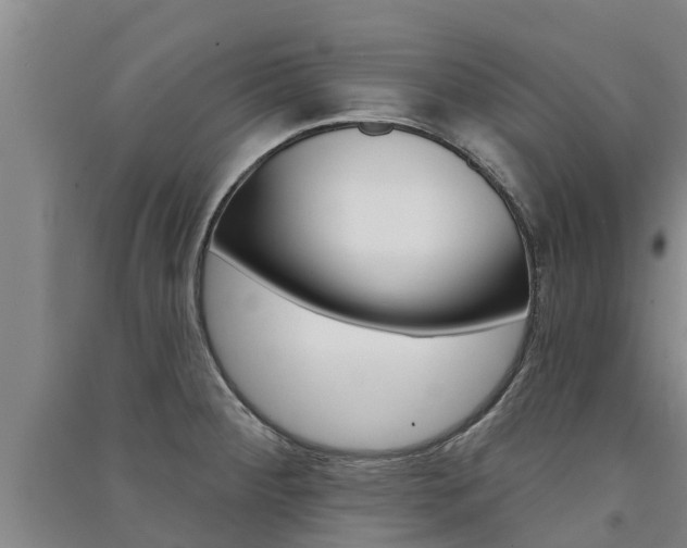 X0000091581284200708201005