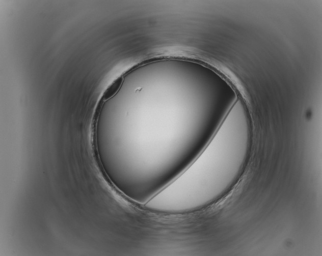 X0000091581285200708201005