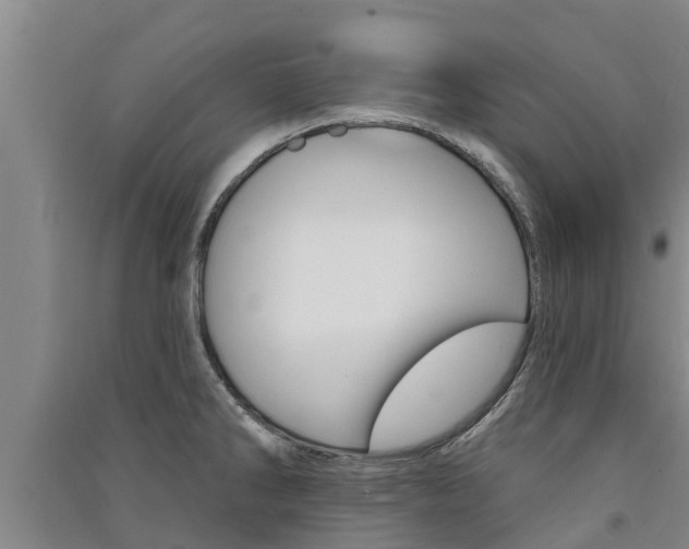X0000091581286200708201005